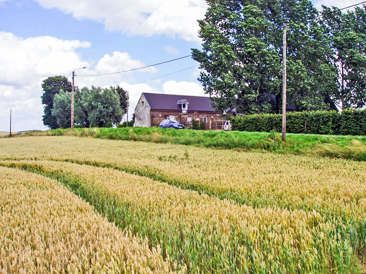 farm